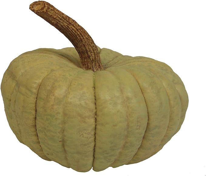 Hickory Manor House Long Stem Pumpkin for Home Decor, Sage Green | Amazon (US)