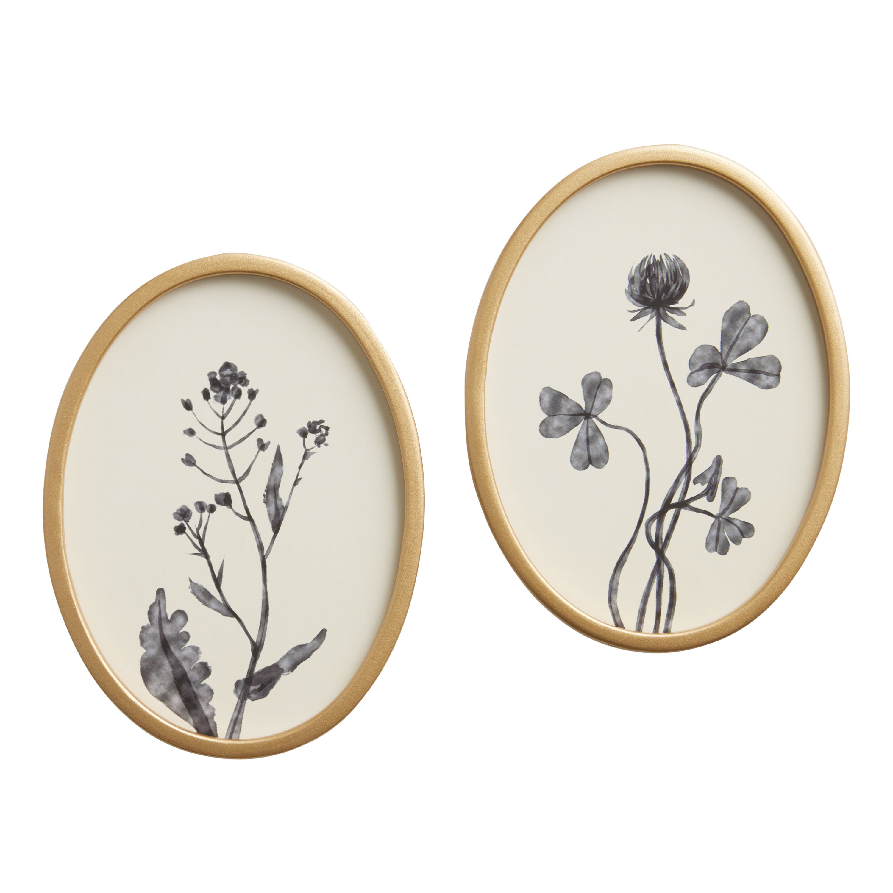 Blue Oval Botanicals by Dan Hobday Framed Wall Art 2 Piece | World Market