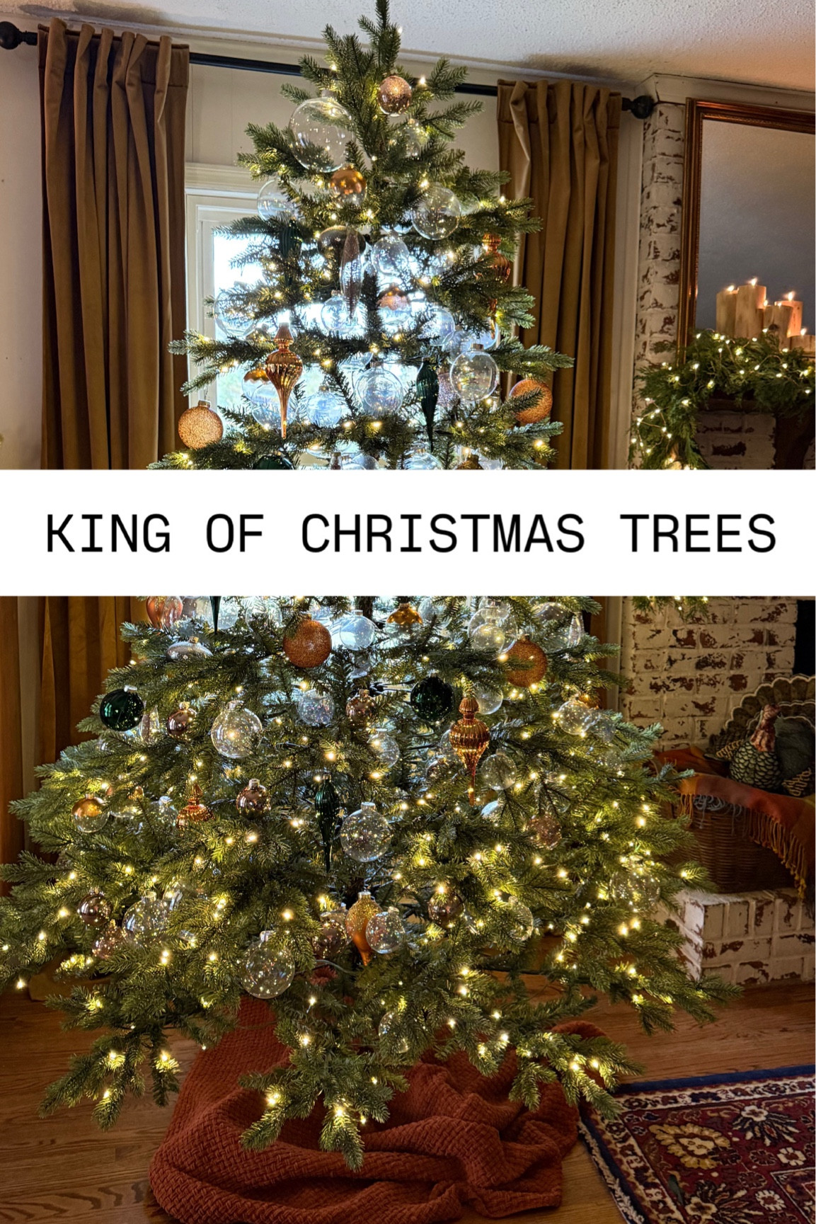 A link to all my Christmas trees over the years! We l ow King of Christmas trees!!


#LTKHome #LTKHoliday #LTKSeasonal
