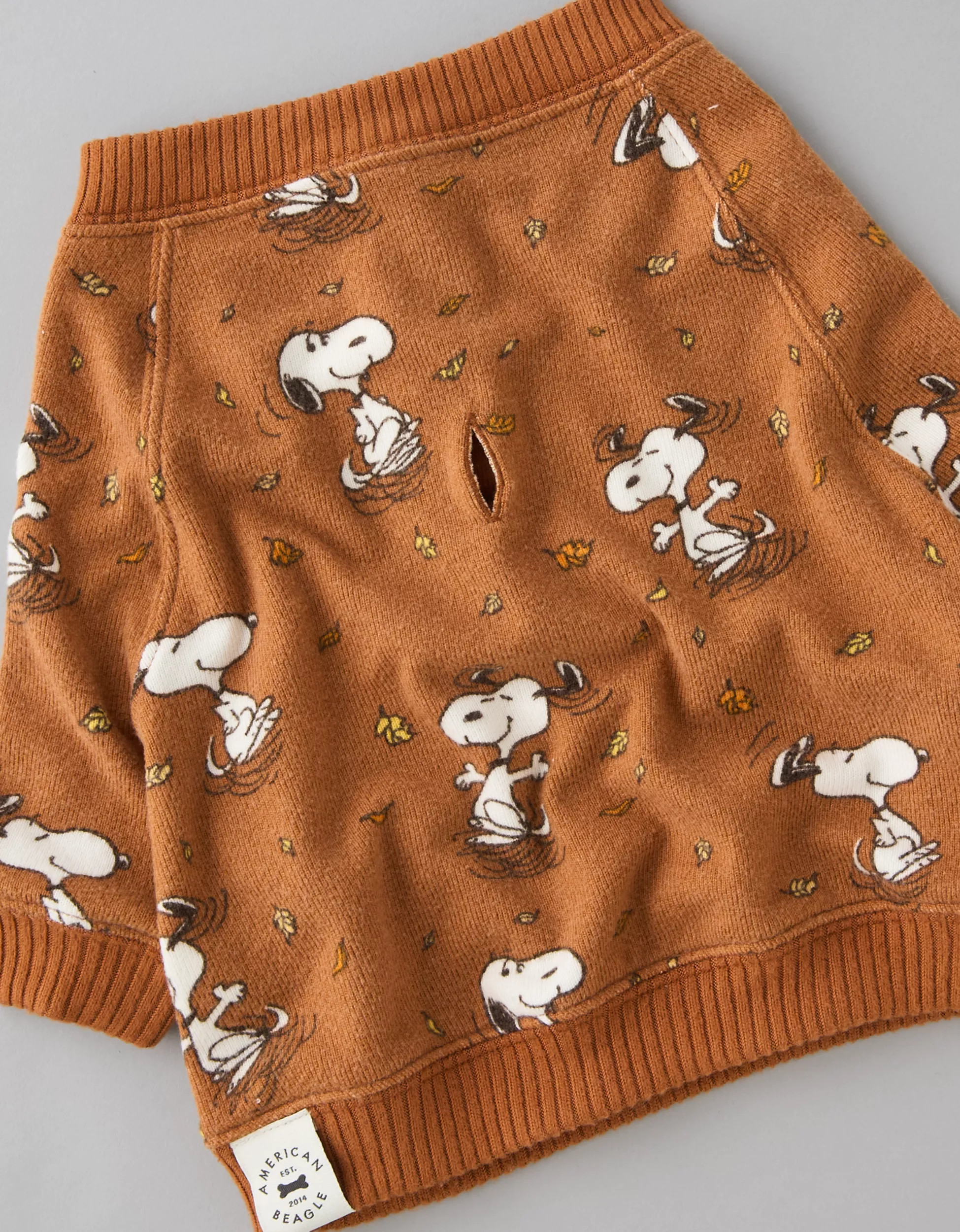 ABO Snoopy Fall Leaves Plush PJ Set | American Eagle Outfitters (US & CA)