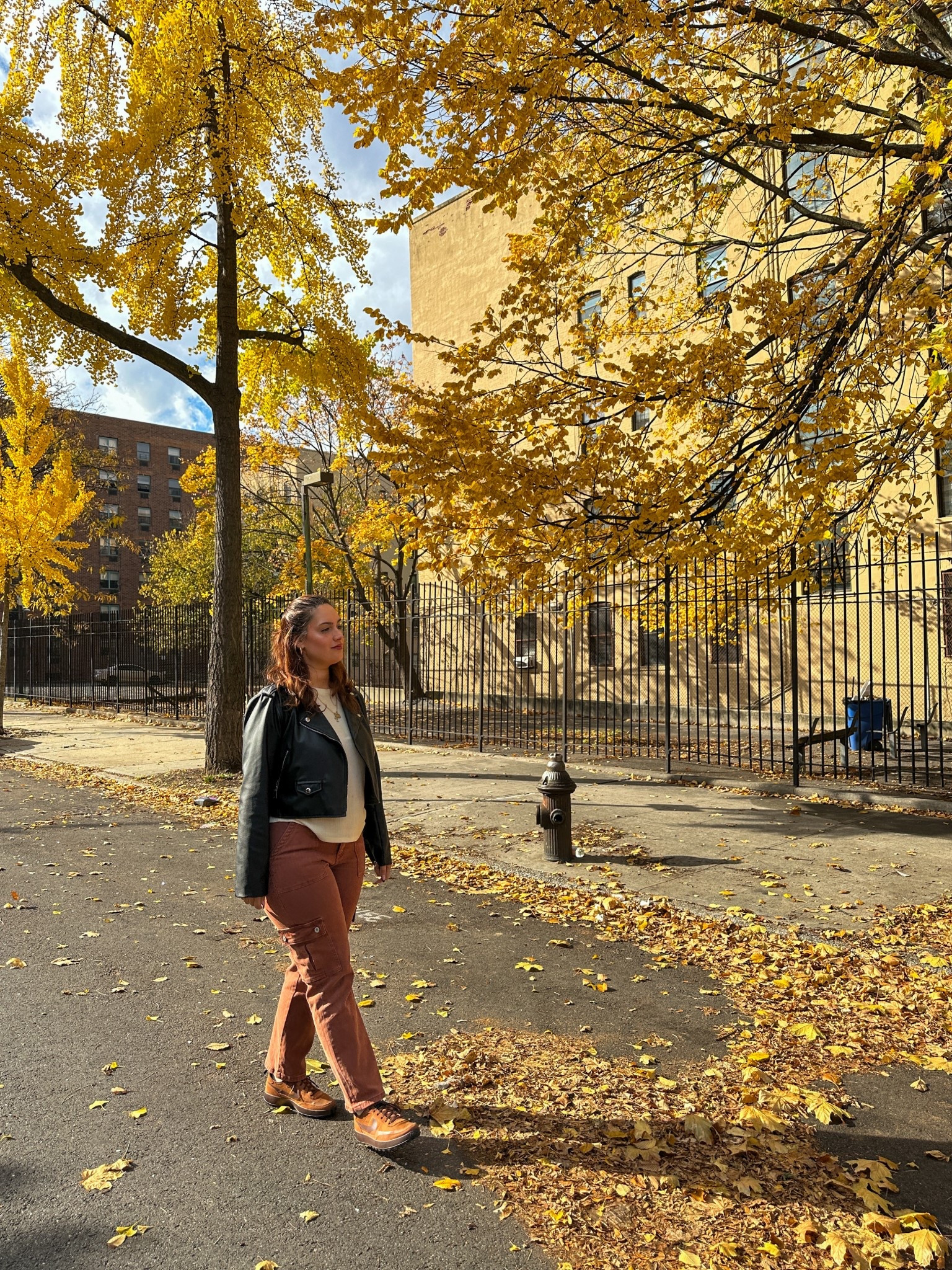 Fall fashion, fall style, fall outfits, fall outfit ideas, fall outfit Inspo, autumn fashion, autumn outfits, midsize fashion, midsize style, effortless style, everyday outfit, minimal style, casual style, casual outfit, casual chic, street style, streetwear fashion, Vici style, Vici outfits, Aritzia fashion, Aritzia outfits, Nike sneakers, brown sneakers, neutral style. 

#LTKootd #LTKMidsize #LTKShoeCrush