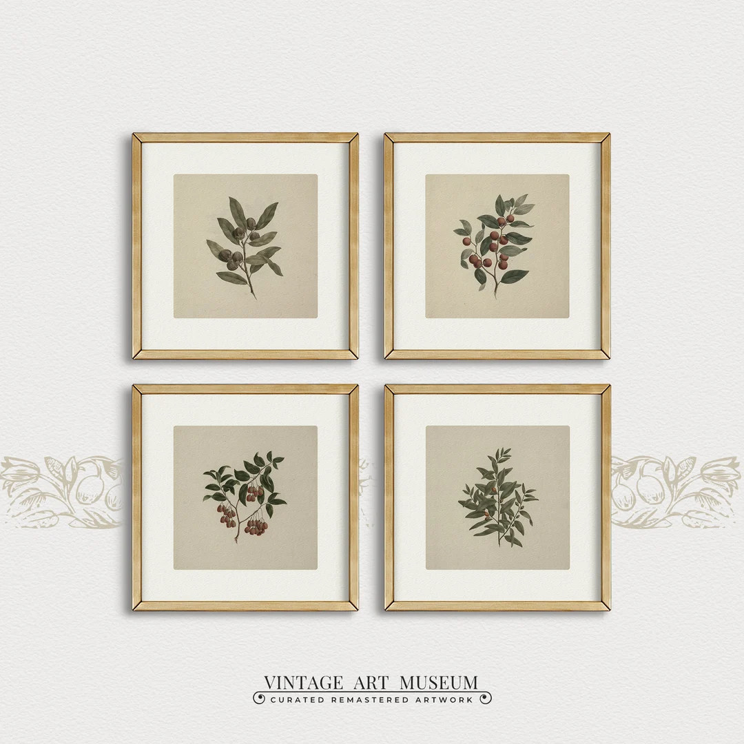 Olive Branch 4 Square Prints Vintage Painting Botanical Wall - Etsy | Etsy (US)
