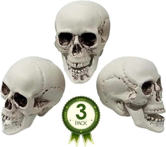 Colonel Pickles Novelties Skull Decorations – Bag Of 3 Plastic 5 Inch Skulls For Halloween Deco... | Amazon (US)