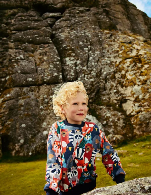 Printed Sweatshirt | Boden (US)