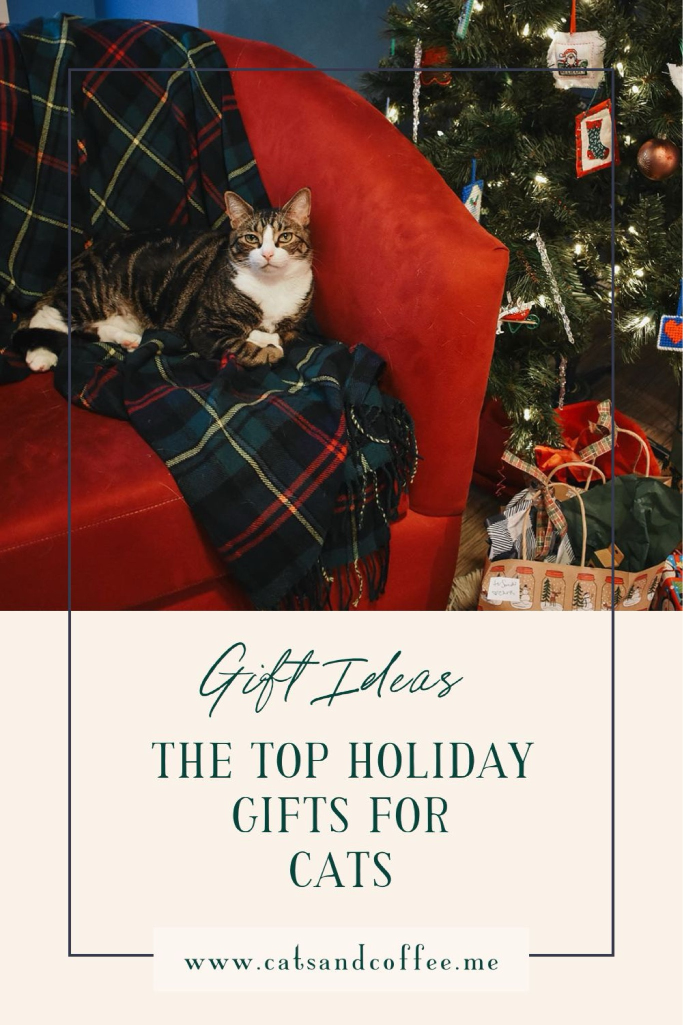 Holiday gift guide for cat lovers: Amazon, Chewy, and Anthropologie picks, from heated beds and pretty cat trees to a Litter Robot!

#LTKGiftGuide #LTKFamily #LTKHoliday