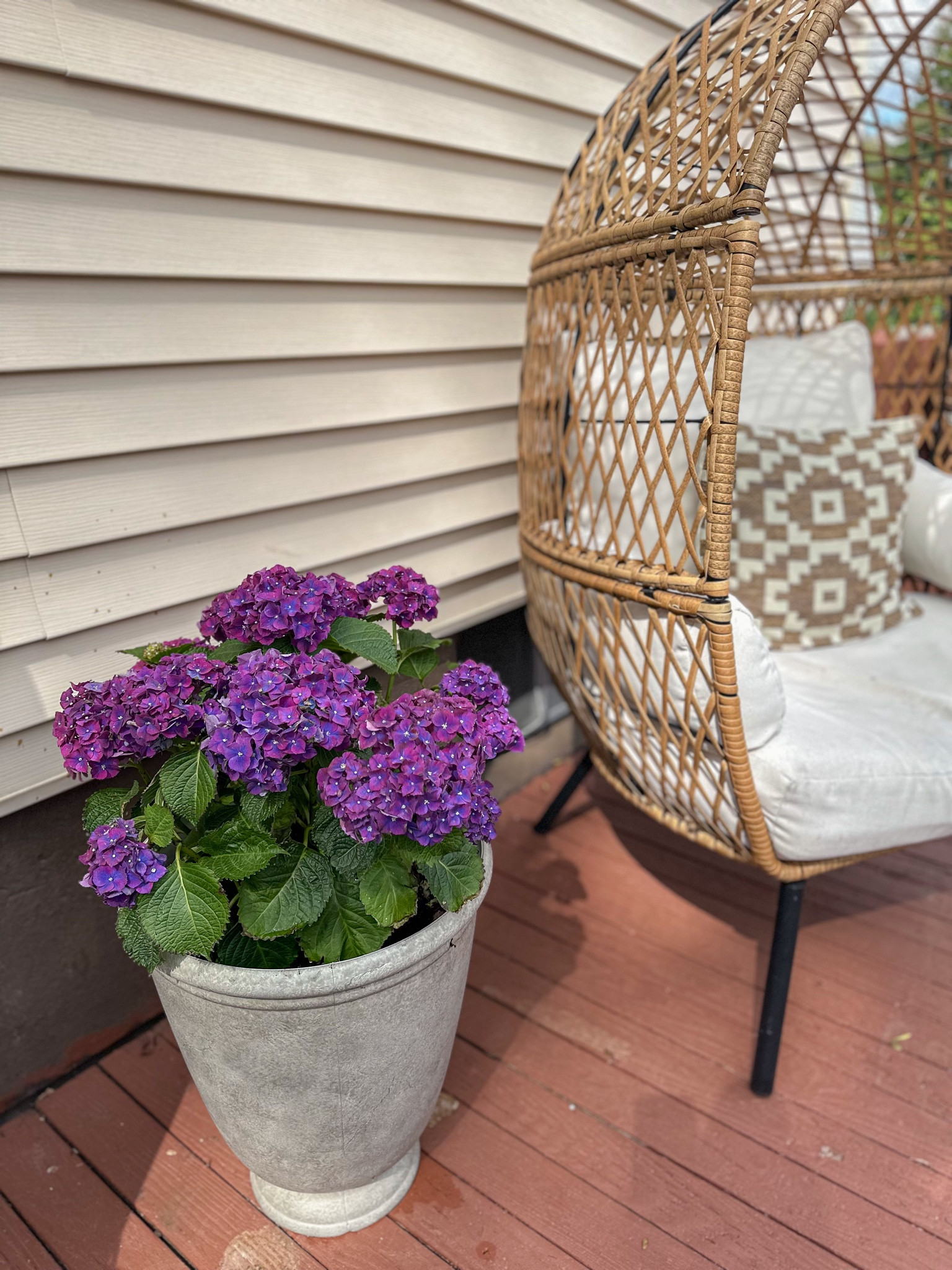 Deck favorites from Walmart

#LTKhome #LTKSeasonal #LTKsalealert