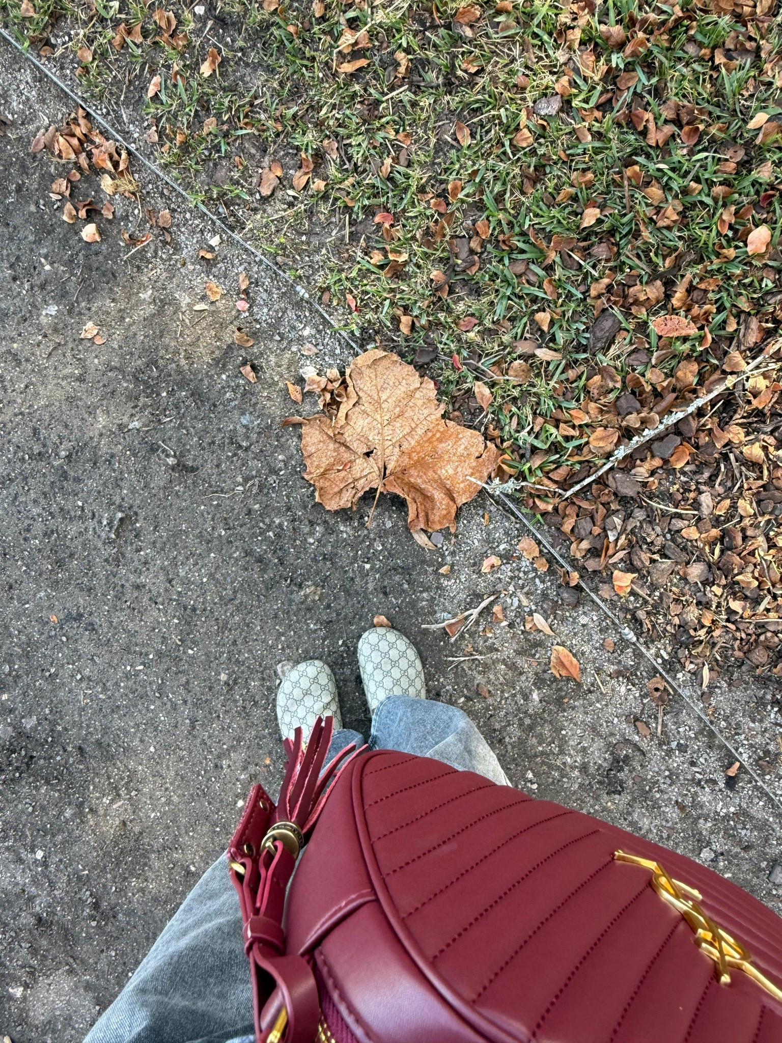 Can’t believe it’s the end of November🍁🍂 saying goodbye to all the fall leaves and welcoming in the full Christmas season🎄🎅🏻


YSL bag, YSL, Gucci slides, fall style, fall fashion, burgundy crossbody, quilted crossbody, designer purse, Charleston outfit, bag crush, shoe crush

#LTKHoliday #LTKCyberWeek #LTKGiftGuide