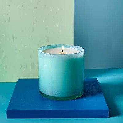 Marine Scented Jar Candle | Wayfair Professional