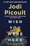 Wish You Were Here: A Novel    Paperback – June 14, 2022 | Amazon (US)