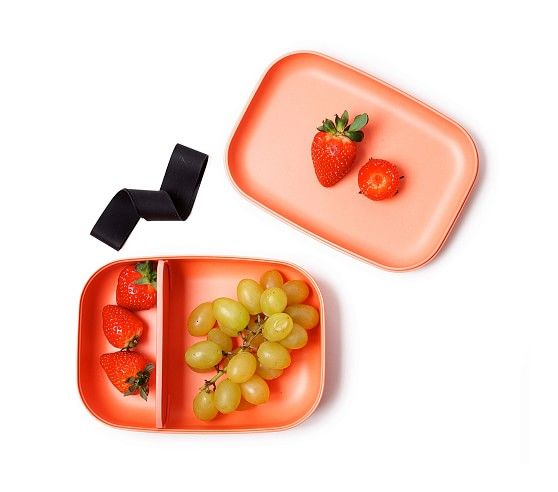 Ekobo Rectangle Bento Box | Pottery Barn Kids