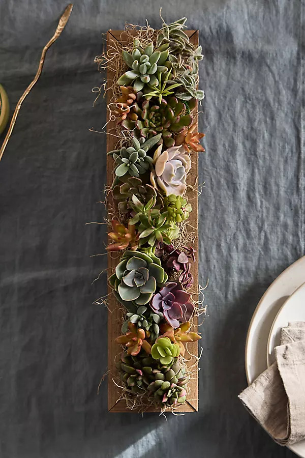 Sun-Loving Succulent Centerpiece Planter | Terrain