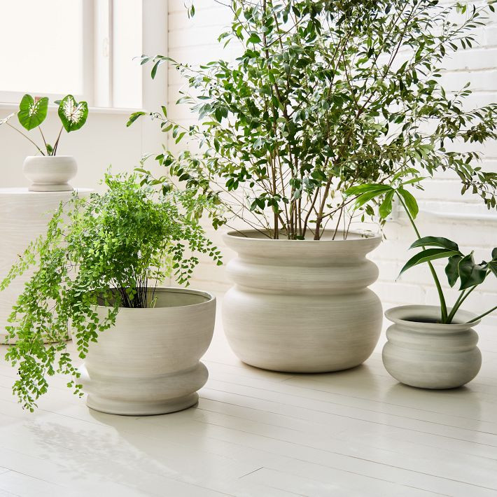 Alana Ceramic Indoor/Outdoor Planters | West Elm (US)