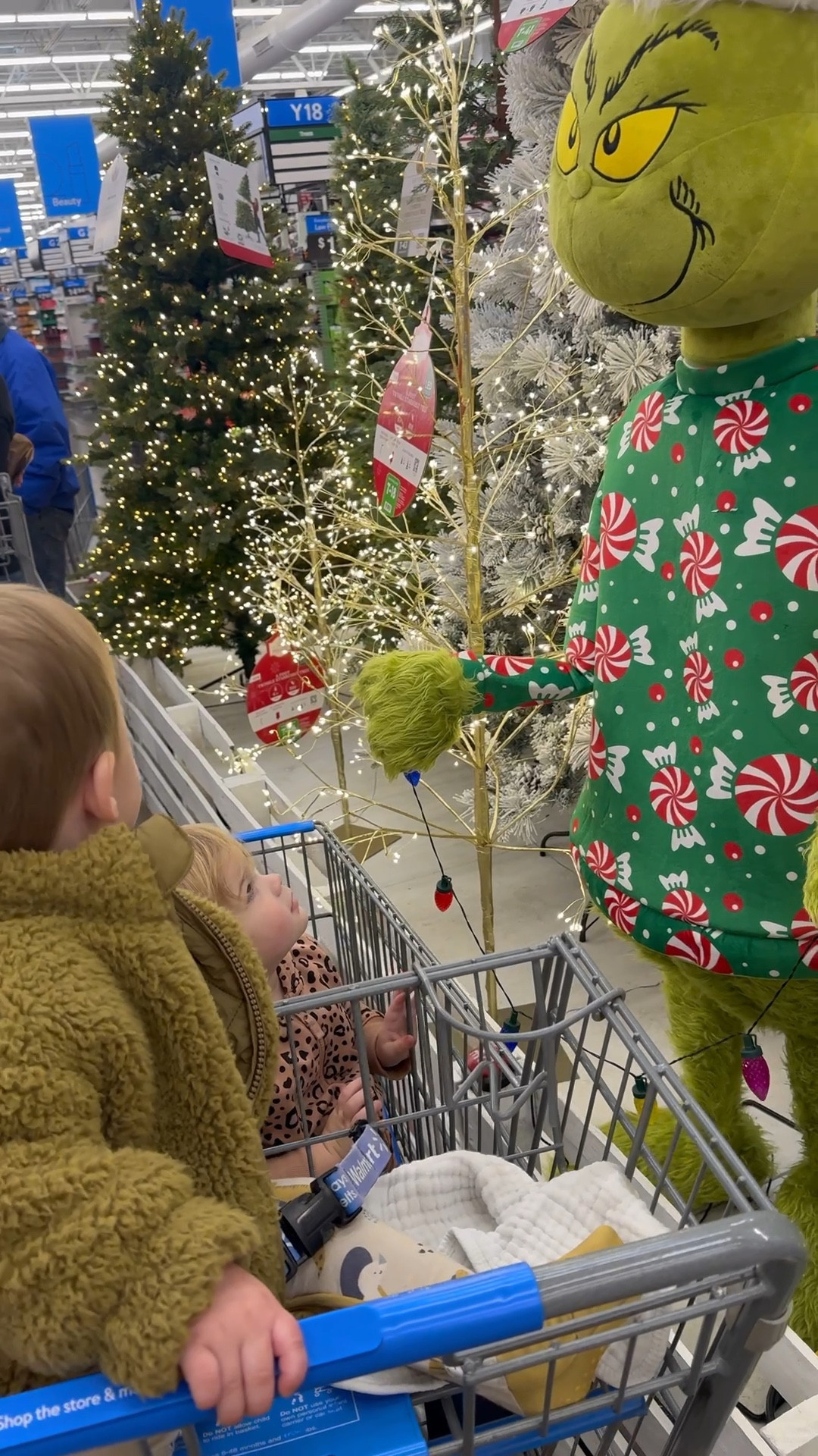 Feeling grinchy in the best way 💚🎄
Walmart has the cutest Grinch Christmas decorations this year — so fun, colorful, and perfect for adding a playful touch to your holiday setup. From yard inflatables to indoor décor, everything is affordable and kid-approved!

If you’re decorating for Christmas or building a Grinch theme this year, these are must-haves. Linking all my Walmart holiday favorites!

#WalmartFinds #WalmartHome #GrinchChristmas #ChristmasDecor #HolidayDecorIdeas #WalmartHoliday #MomLife #ChristmasAesthetic

#LTKCyberWeek #LTKSeasonal #LTKHoliday