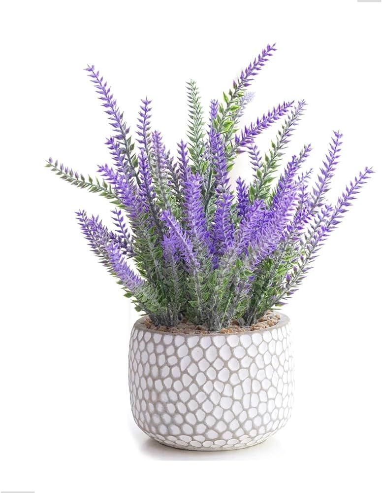 CADNLY Fake Lavender Plant in Pot - Faux Lavender Flowers Artificial Lavender Decor Purple Bathro... | Amazon (US)
