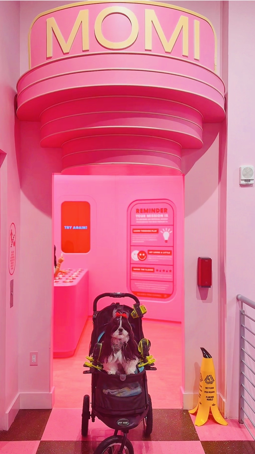 Museum of Ice Cream Miami was basically Nirvana’s dream day in real life 🍦💕

From the pink rooms and sprinkle pool to the unlimited ice cream and interactive games, every corner felt like stepping into a candy-colored fantasy. Located inside Miami Worldcenter, it’s one of the cutest experiences in Miami for date nights, girls trips, birthdays, or just creating the perfect photo day.

Naturally, Nirvana had to link all the colorful accessories, playful bags, glossy pink details, candy-inspired pieces, and fun travel finds that matched the entire Museum of Ice Cream aesthetic. Think statement bags, sweet-inspired accessories, glossy pink favorites, colorful travel essentials, and pieces that feel straight out of a dessert dream.

If you love pink, playful fashion, colorful luxury details, Miami travel, or whimsical accessories, this edit is for you ✨

Nirvana the Shih Tzu 💋 Nirvana Approved

#LTKdayinmylife #LTKgrwm #LTKTravel