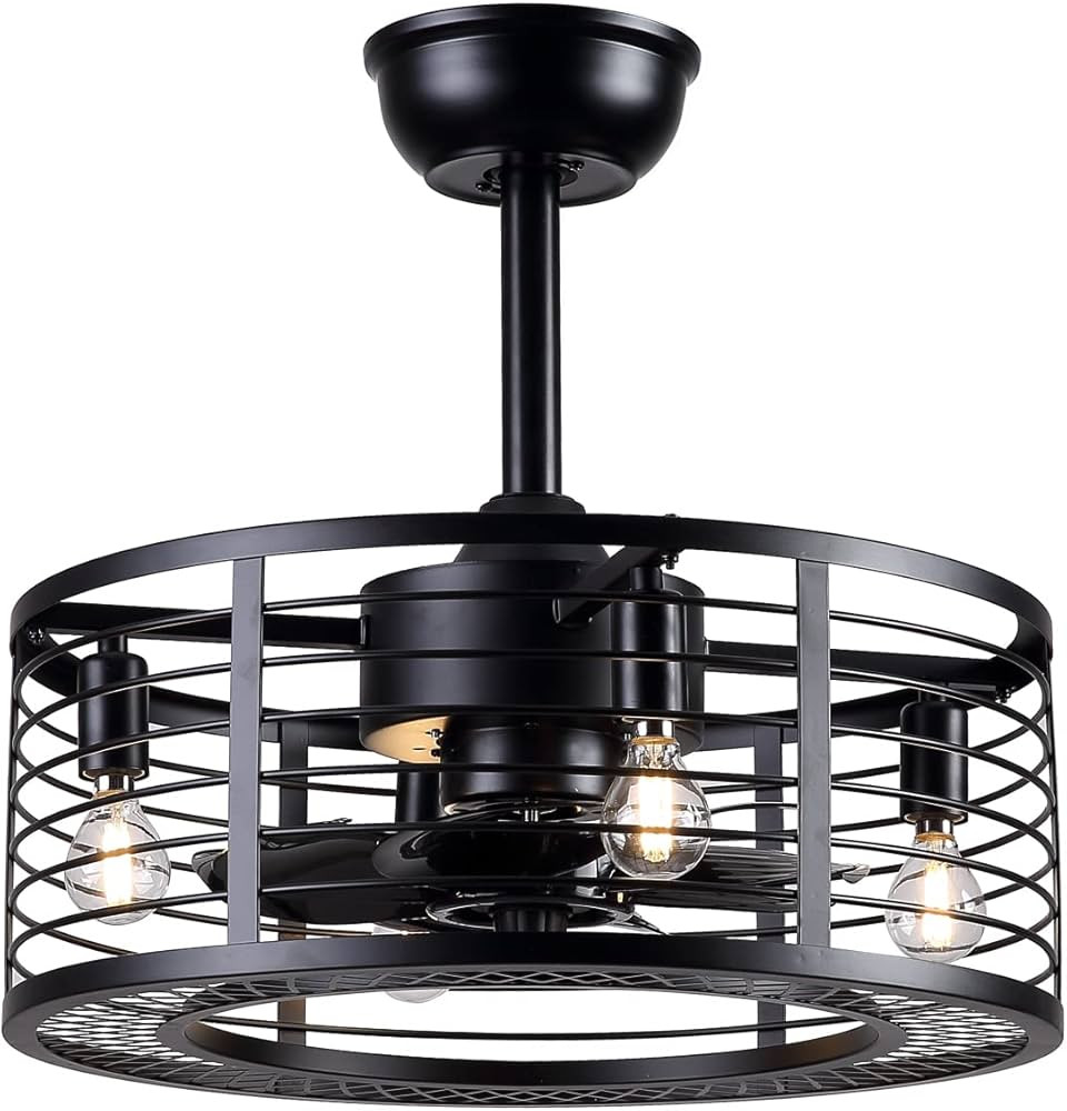 Dannilong Ceiling Fans with Lights - Modern Enclosed Ceiling Fan Indoor with Remote Control, Blac... | Amazon (US)