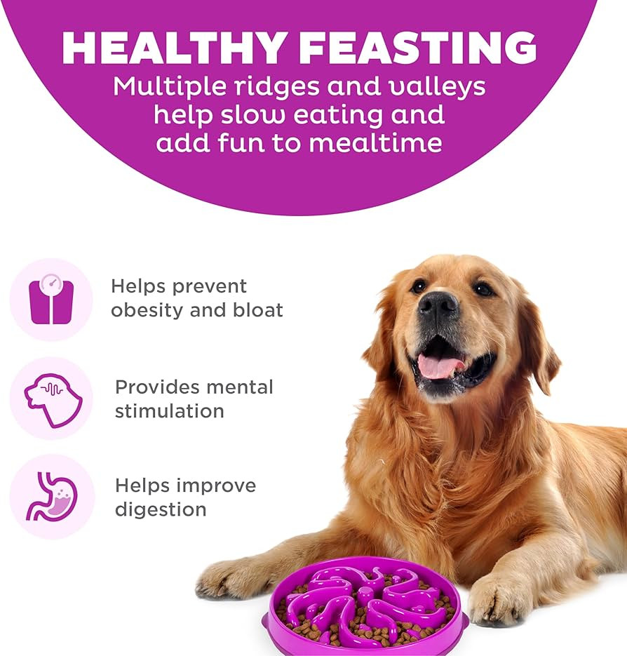 Outward Hound Fun Feeder Slo Bowl – Large 4‑Cup Capacity, Slow Feeding, Medium to Large Dogs,... | Amazon (US)