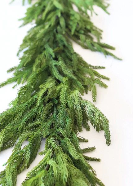 SALE - Real Touch Norfolk Pine Garland - 60" | Afloral (US)