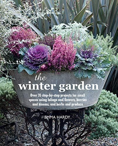 The Winter Garden: Over 35 step-by-step projects for small spaces using foliage and flowers, berr... | Amazon (US)