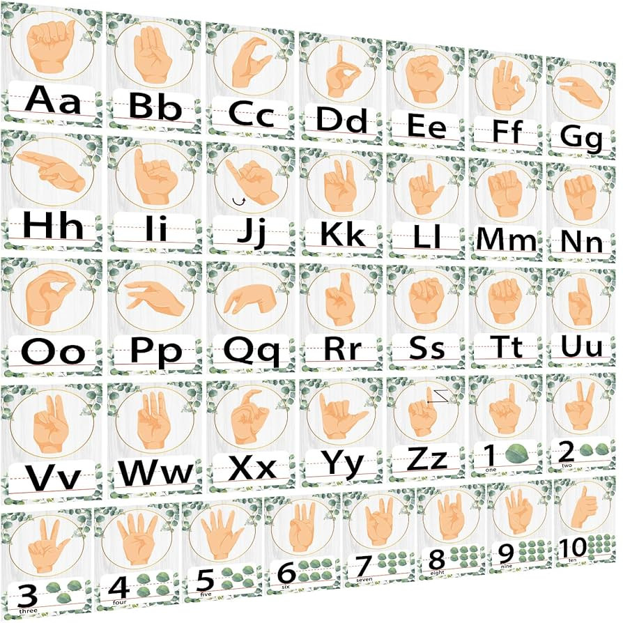 36PCS Eucalyptus ASL Alphabet Line Bulletin Board Set ABC Number Sign Language Flash Cards Alphab... | Amazon (US)