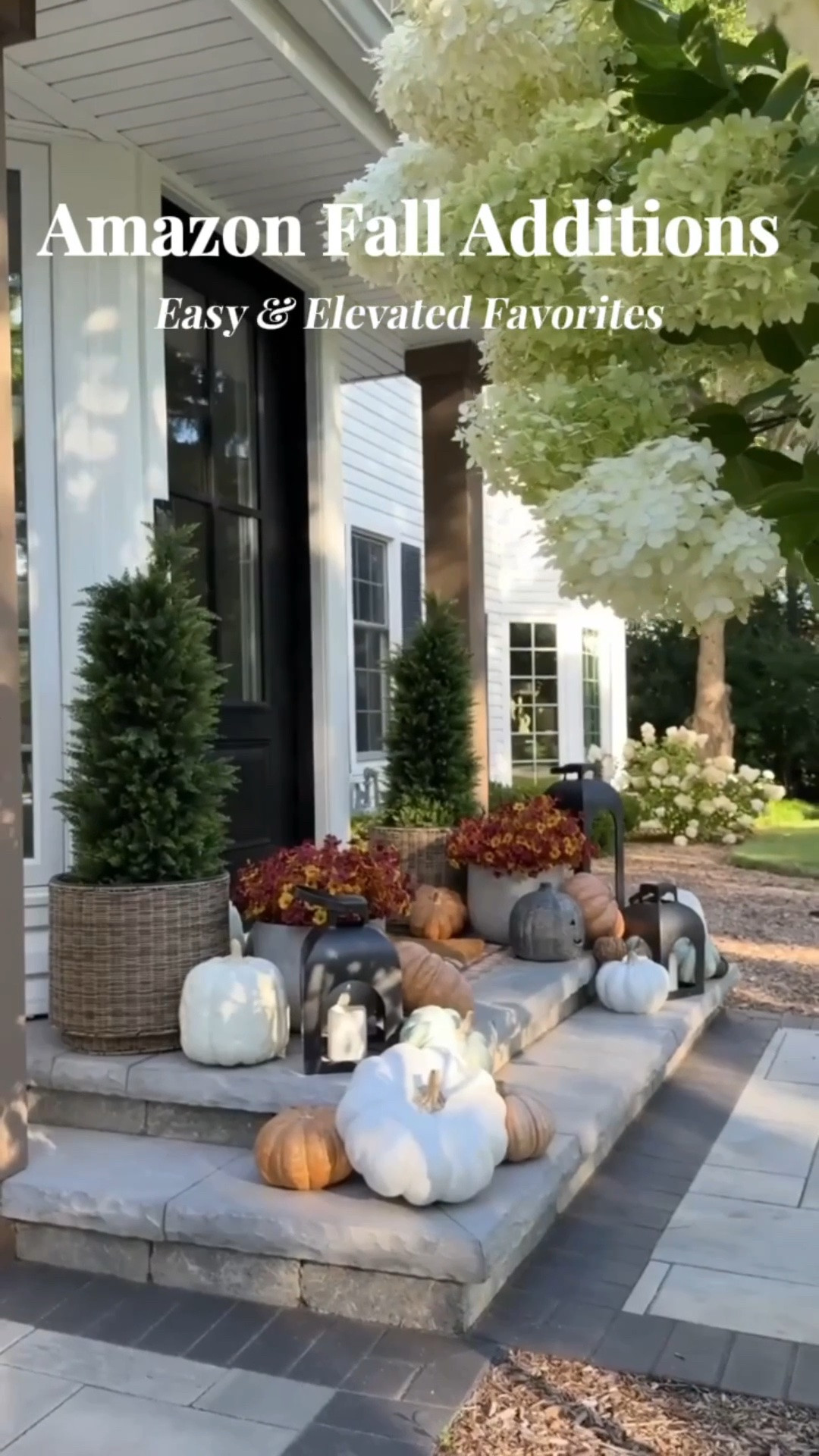 Elevate your home for the fall season with these gorgeous and easy Amazon favorites! Styles I have loved year after year.

#LTKHome