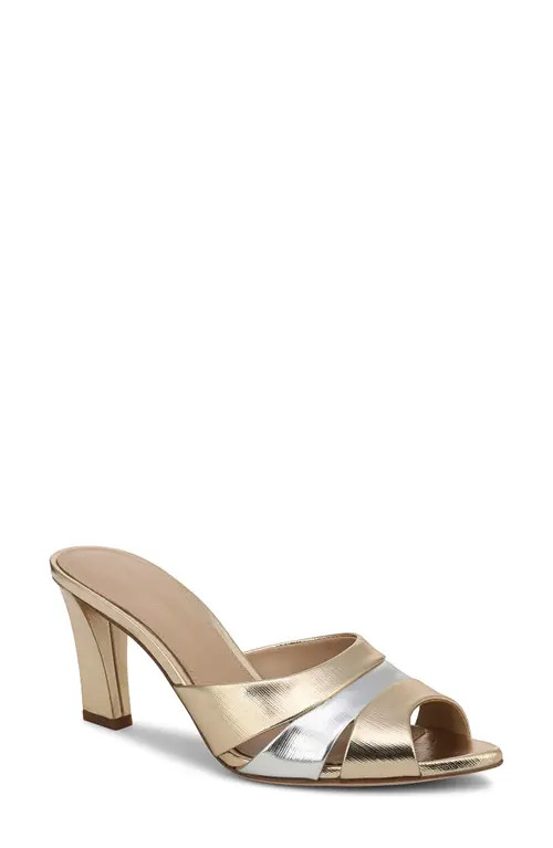 Veronica Beard Cassiel Pointed Toe Slide Sandal in Gold/Silver at Nordstrom, Size 7 | Nordstrom