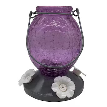 Style Selections Glass Hanging Nectar Bird feeder - 22-oz | Lowe's