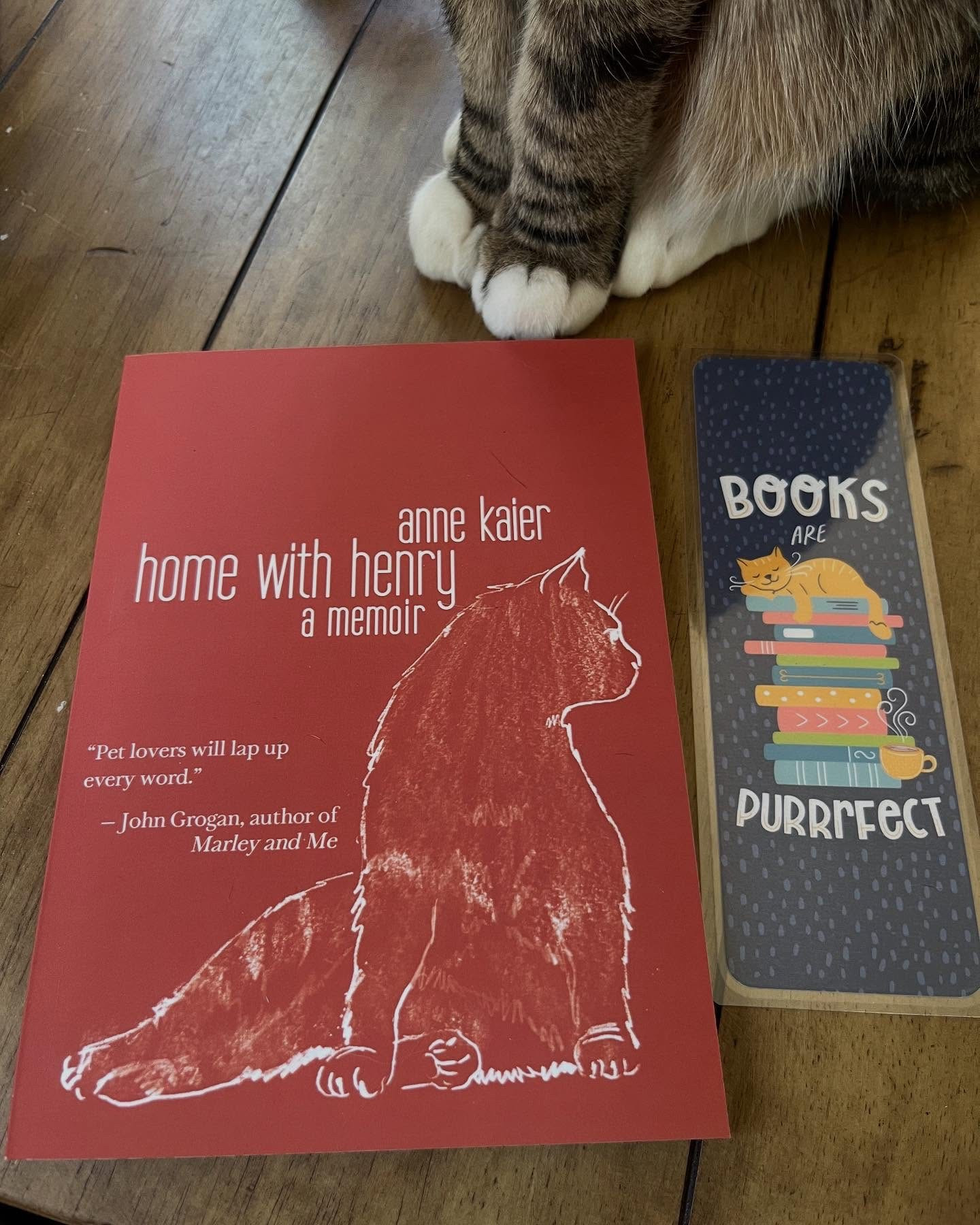 Book Tour
Home With Henry
 By: Anne Kaier 

Thanks @tlcbooktours and @kaieranne for the copy! 

Synopsis:
“When copywriter Anne Kaier stops traffic to rescue a stray cat, neither she nor the cat knows what lies in store … You’ll lose yourself in this witty, true-life story of how Anne hopes a beguiling cat called Henry can help her as a single woman in the amped-up city. But first, how will she lure Henry out from under the bed-when not even her ten-year-old nephew can get him to stir?”

Have you ever rescued an animal? As a kid, I once found a kitty at the library and brought her home. 

#bookmail #bookishmail #tbr #bookish  #newrelease #newbookalert #gifted  #homewithhenry #nonfiction #catstory #straycat #rescuecat #petlovers #truestory #citylife
