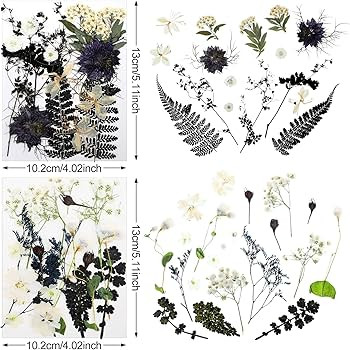 Pressed Flowers Resin Flowers for Resin Mold, Real Daisy Dried Flower Leaves Natural with Tweezer... | Amazon (US)