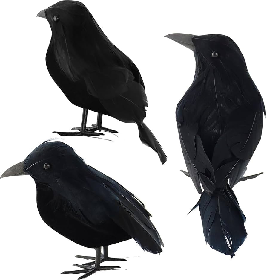 AEVBSOY 3 Pack Black-Feathered Crows Halloween Decorations - Realistic Artificial Handmade Black ... | Amazon (US)
