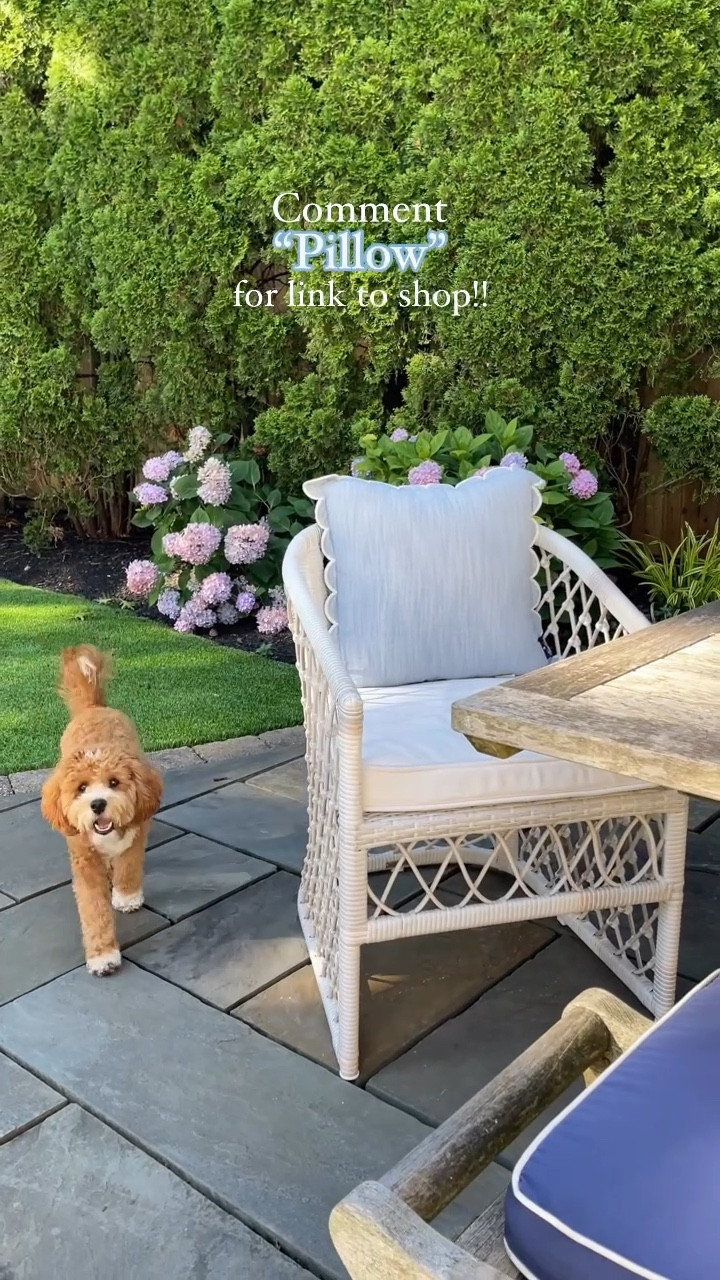 🚨Restock alert!!🚨 shop these best blue and white scalloped pillows back again this year!! These sold out so fast last year because they’re GORGEOUS with this chambray blue color and white scalloped piping detail! Use indoors or out!! ☀️ Snag a pair for under $25!! Will go fast friends!!


#LTKHome #LTKWatchNow #LTKFindsUnder50