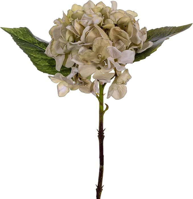 Vickerman 13" White Artificial Dried Hydrangea Pick, 3 per Bag. | Amazon (US)