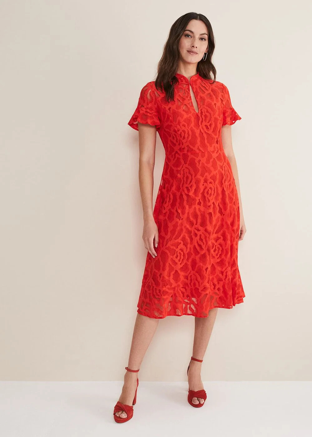 Lulu Lace Midi Dress | Phase Eight UK | | Phase Eight