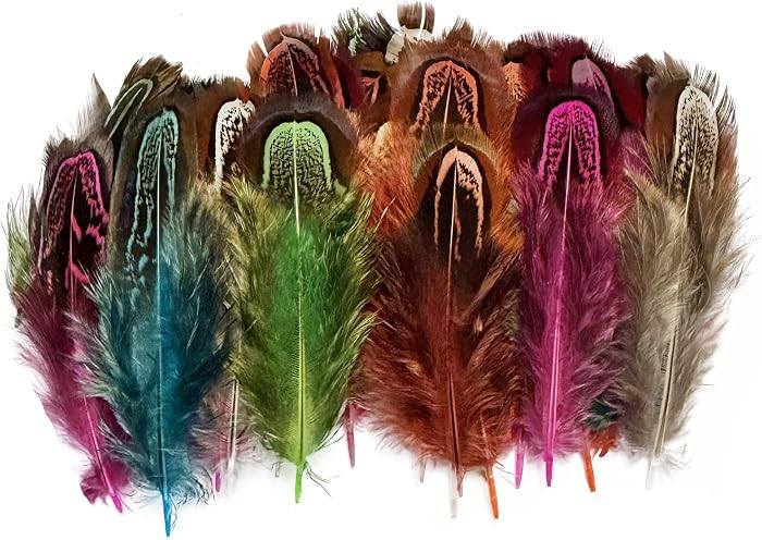 100 pcsHappy Feather Natural Pheasant Plumage Feathers 2-3 Inches Plumage Feathers for Sewing Cra... | Amazon (US)