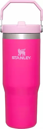 Stanley 30 Oz. IceFlow Tumbler with Flip Straw | Dick's Sporting Goods