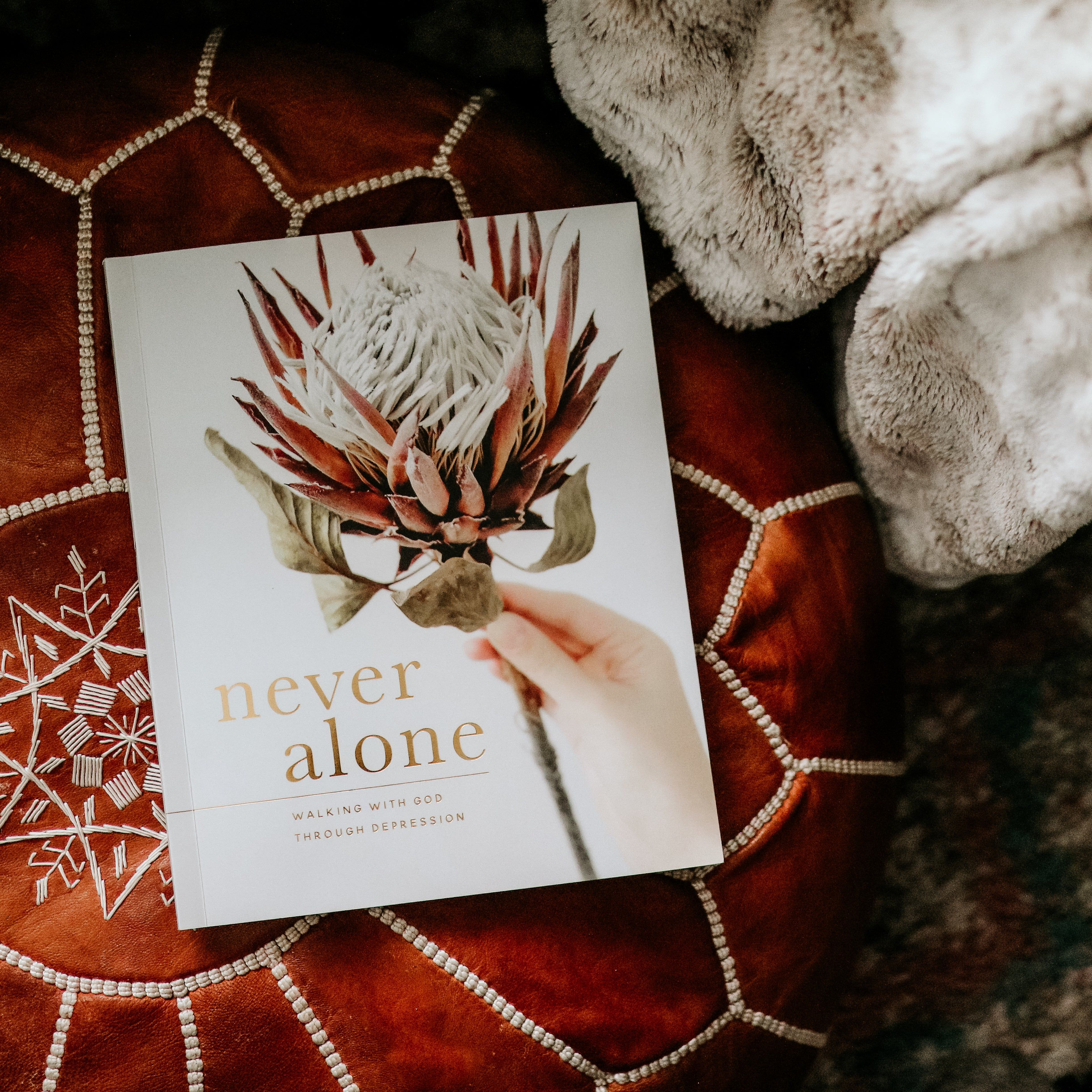 Never Alone Study | The Daily Grace Co.