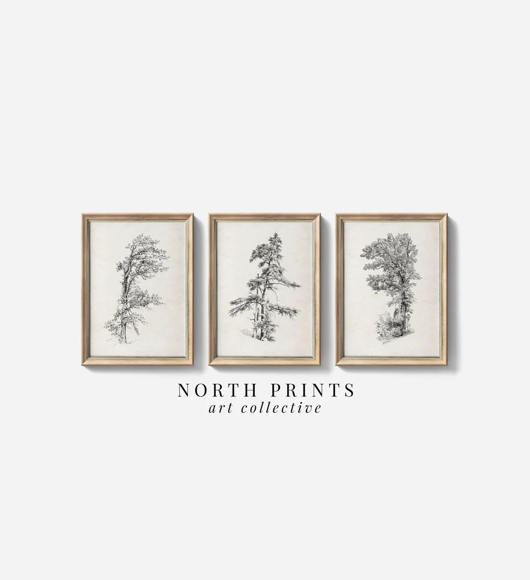 Rustic Tree Prints Gallery Wall SET of THREE Vintage Sketches Neutral Farmhouse Decor North Print... | Etsy (US)