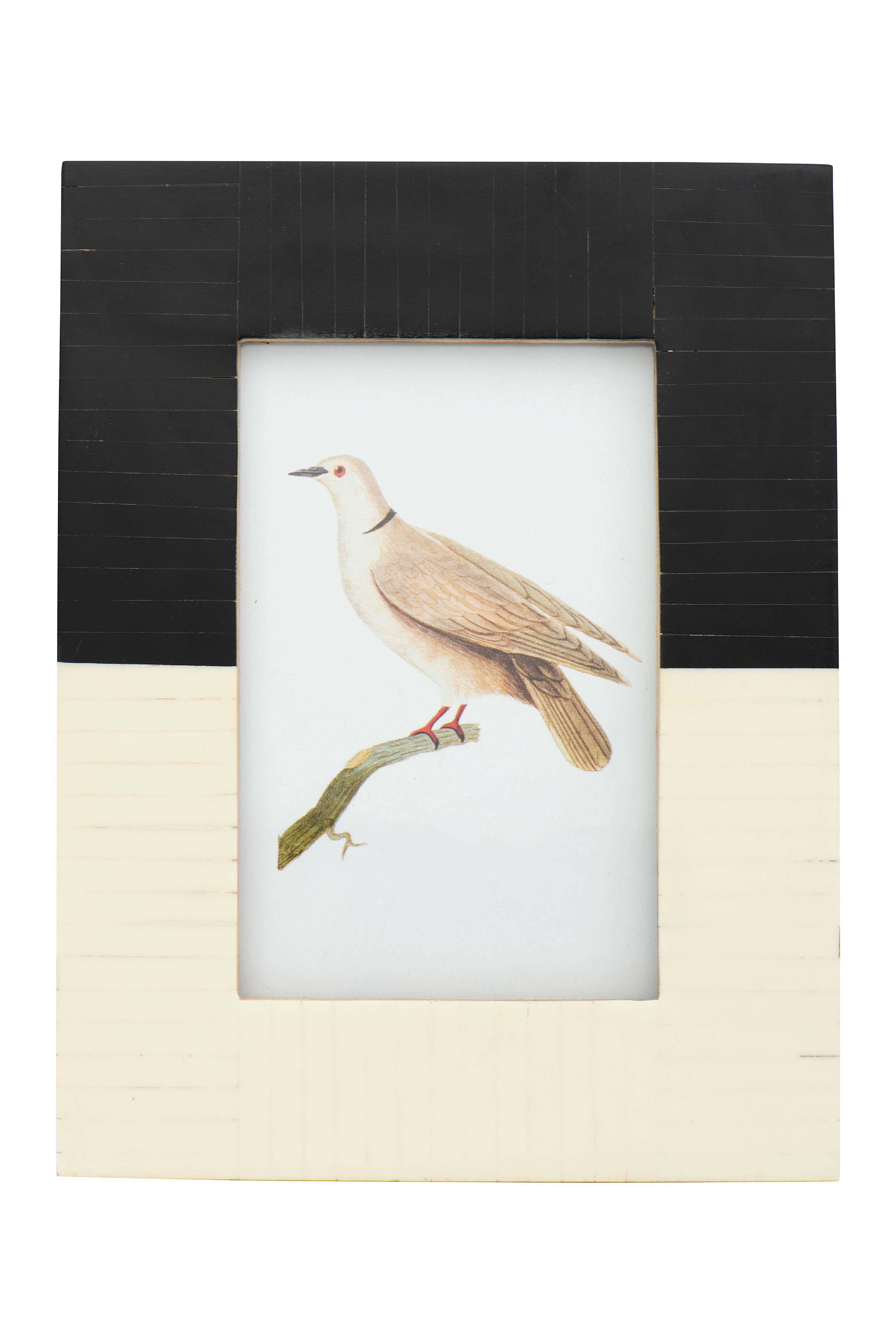 Creative Co-Op Black & White Resin Photo Frame (Holds 4" x 6" Photo) | Walmart (US)