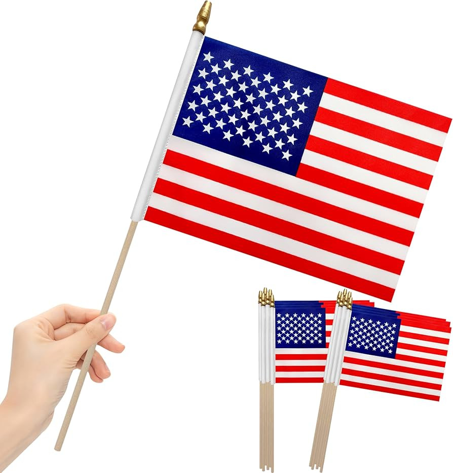 12Pcs 8\u00d712 Inch Small American Flags on Stick Mini USA Flags US Handheld Flag for Outside,Ve... | Amazon (US)