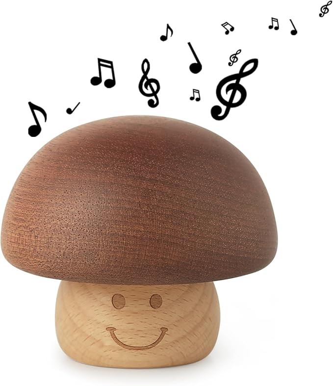 Twinkle Twinkle Little Star Song Wood Mechanism Cute Music Box mini Vintage Musical Gift Home Dec... | Amazon (US)