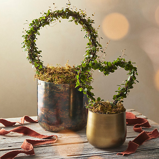 Angel Vine Heart Topiary, Gold Metal Pot | Terrain
