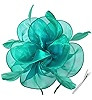 DRESHOW Fascinators Hat Tea Party Headwear Ribbons Feathers on a Headband and a Clip for Women | Amazon (US)