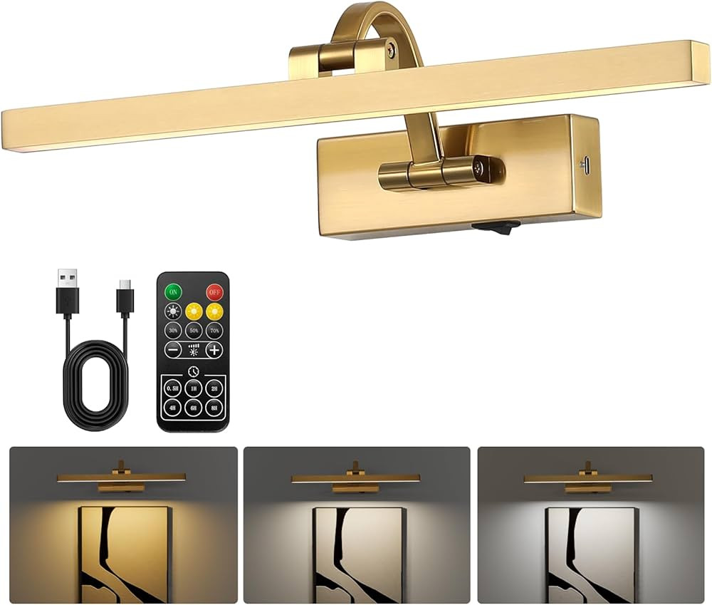 Battery Operated Picture Light,Dimmable Art Light for Paintings with Remote Control,Brass Recharg... | Amazon (US)
