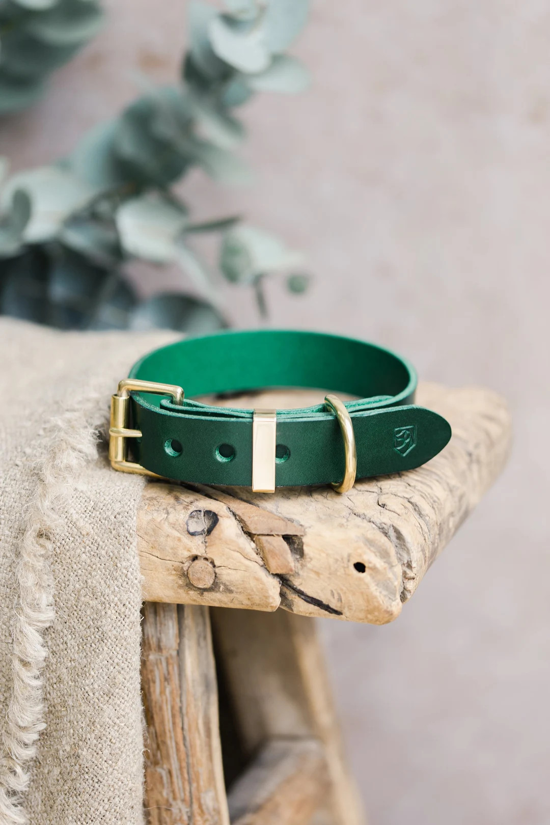Green Leather Dog Collar Engraved Dog Collar With Brass - Etsy | Etsy (US)