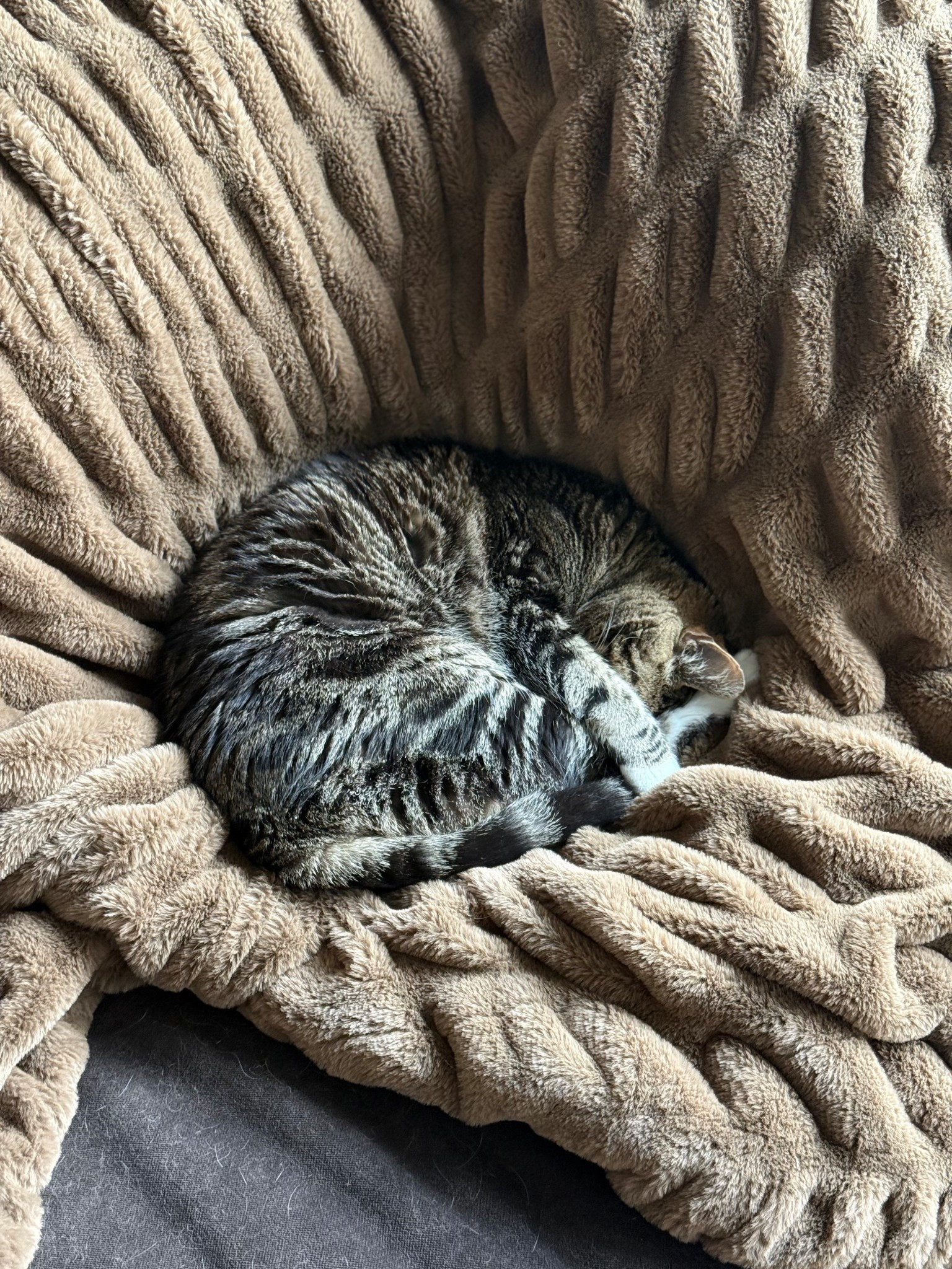 This Lola blanket seriously, is the comfiest and softest blanket I think I have ever bought! Add this to your wish list this holiday season! 

#LTKGiftGuide #LTKHome #LTKHoliday