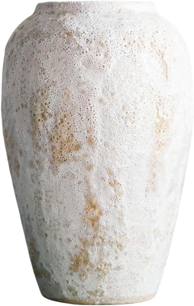 Modern Minimalist Ceramic Vase, Dry Flower Arrangement, Chinese Ornaments, Home and Living Room D... | Amazon (US)
