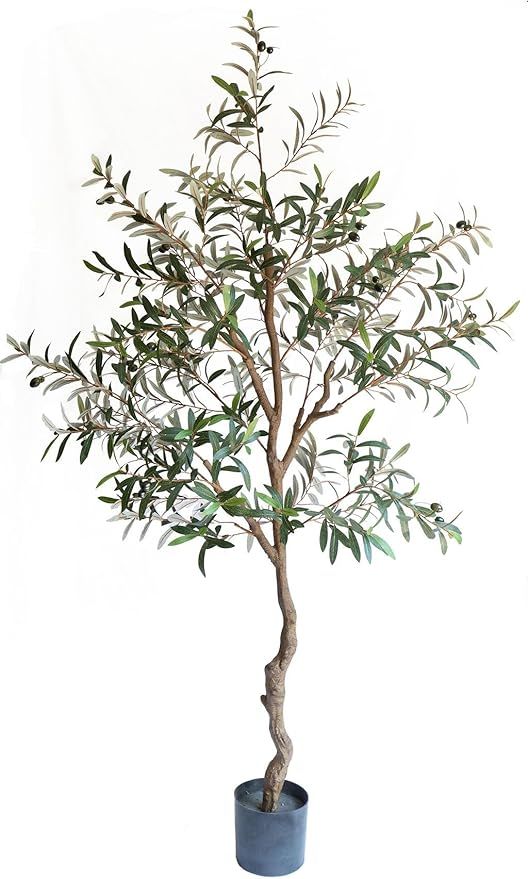 Mulberry Lane Co. 6FT Faux Olive Tree— Olive Trees Artificial Indoor | Elegant Fake Olive Tree ... | Amazon (US)