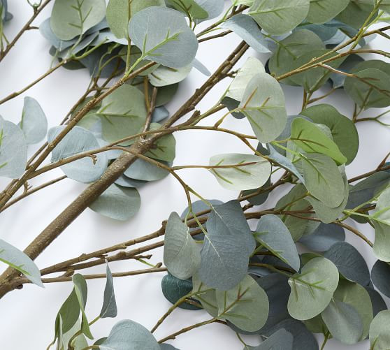 Faux Oversized Silver Dollar Eucalyptus Branch | Pottery Barn (US)