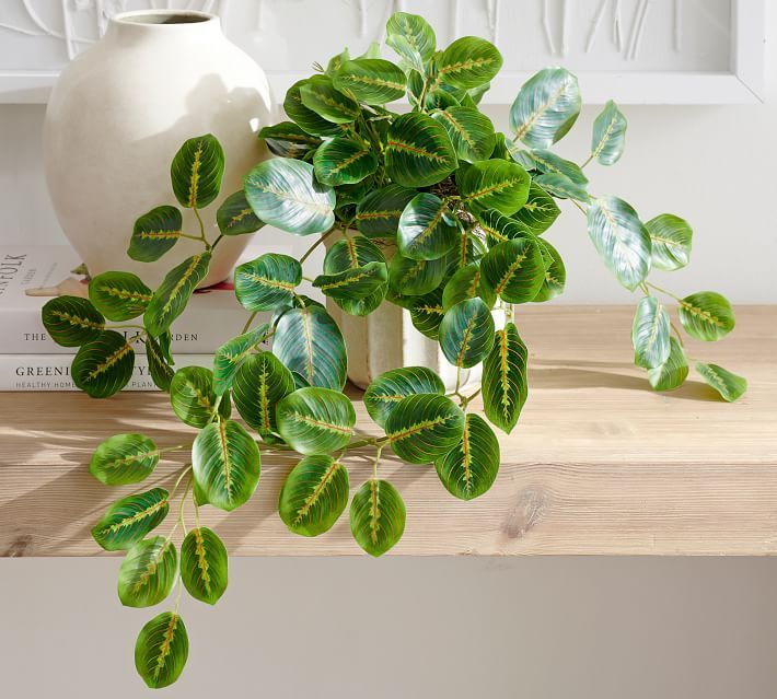 Faux Wandering Prayer Houseplant | Pottery Barn (US)