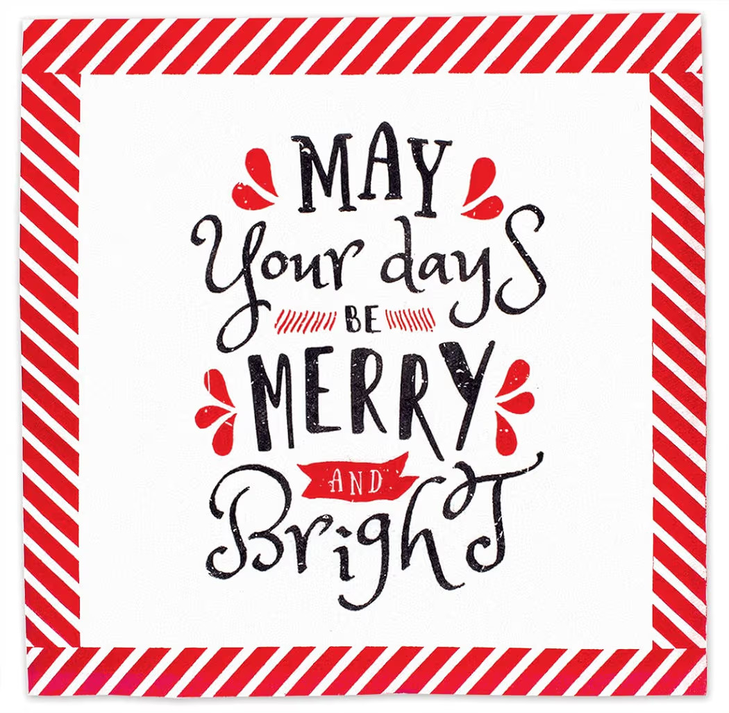 Amazon.com: Xmas Paper Napkins, Festive, Cute & Fun Merry Christmas Quote Napkins: Funny Saying R... | Amazon (US)